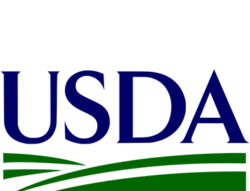 USDA logo